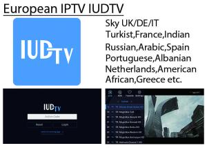 Wholesale IUDTV Europe IPTV Italy Germany UK Turkish Indian African Channels Support APK Enigma2 Mag25X M3U from china suppliers