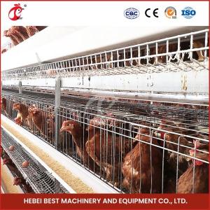 Wholesale Durable Poultry Layer Cage 2 Nipple Drinker Over 25 Years Lifespan Mia from china suppliers