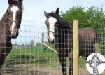 Hinge joint 50kgs/M2 50m Length Wire Cattle Fencing For Farm