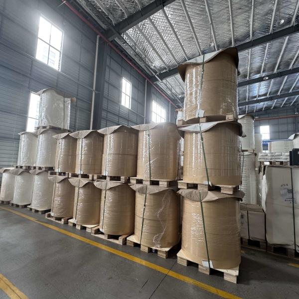 FSC Food Grade Single PE Coated Kraft Paper Roll For Food Container Salad Box