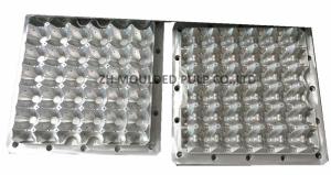Wholesale Vacuum Aluminium Injection Moulding Material Thermoforming Egg Tray use from china suppliers