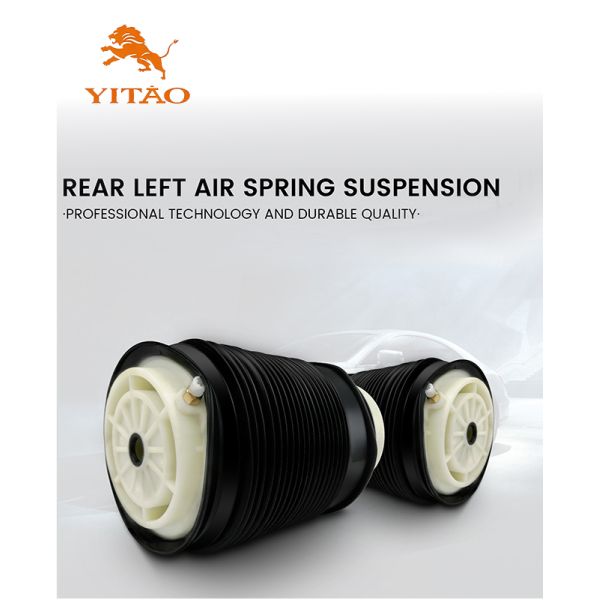 A2123200325 Air Suspension Spring Compatible with Mercedes-Benz CLS-Class / E-Class Standard Left Rear Installation