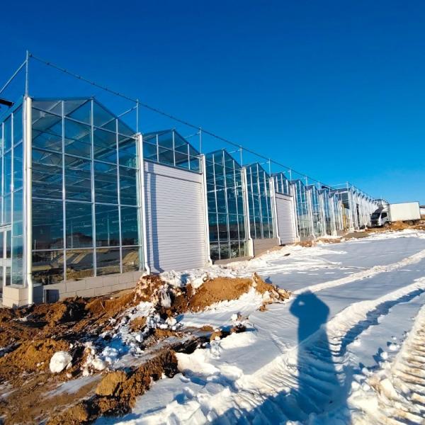 Origin Glass Greenhouse Hydroponics System for Flower Cultivation US 20/Square