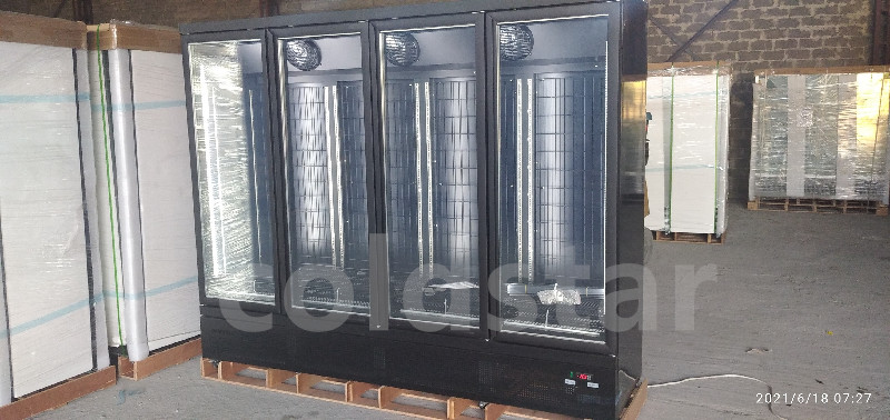 Carel Thermostat Commercial Upright Freezer For Frozen Food