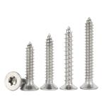 Stainless Steel Pan Head Screw ST5.5 ST6.3 Countersunk Head Cap Screw