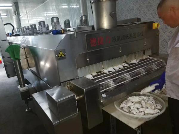 Minus 120c Liquid Nitrogen Tunnel Freezer Commercial Blast Chiller 2000kg/H