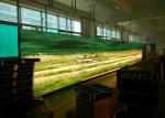 P8 Full Color SMD Waterproof Video Wall LED Display High Brightness Low Power