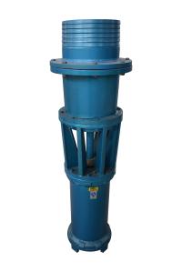 Wholesale 10kw High Flow Submersible Water Pump Axial Flow Water Pump Vertical / Horizontal Installation from china suppliers