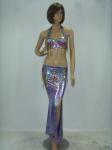 Elegant 2 Pcs Belly Dancing Clothes Halter Neck Metallic Bra Top Floor Length