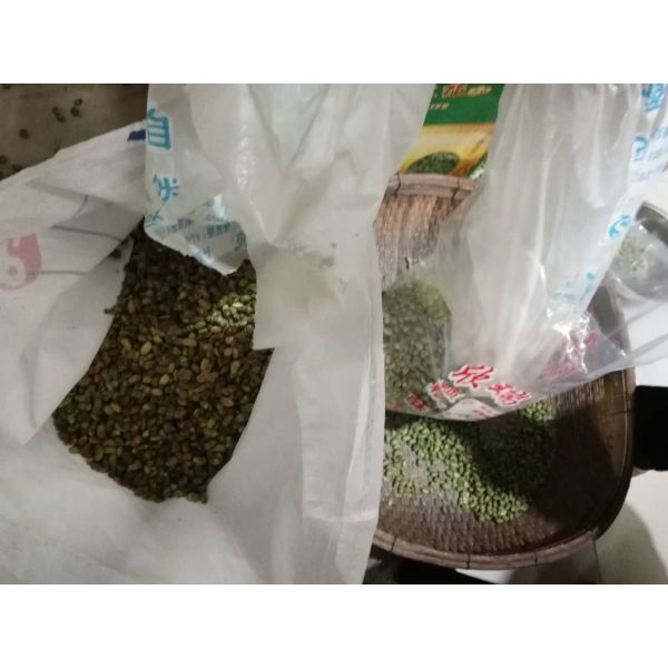 Soybean Green Mung Beans Color Sorter 2 T/H Capacity