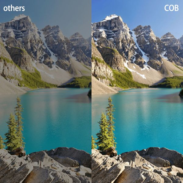 P0.9 P1.25 P1.5 COB LED Display 1000cd Brightness 3840Hz Refresh