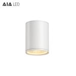 20W DALI dimmable surface mounted downlight&outdoor downlight&led IP65 outdoor