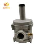 Home / Industry Natural Gas Adjustable Gas Regulator With Filter Gas Relief