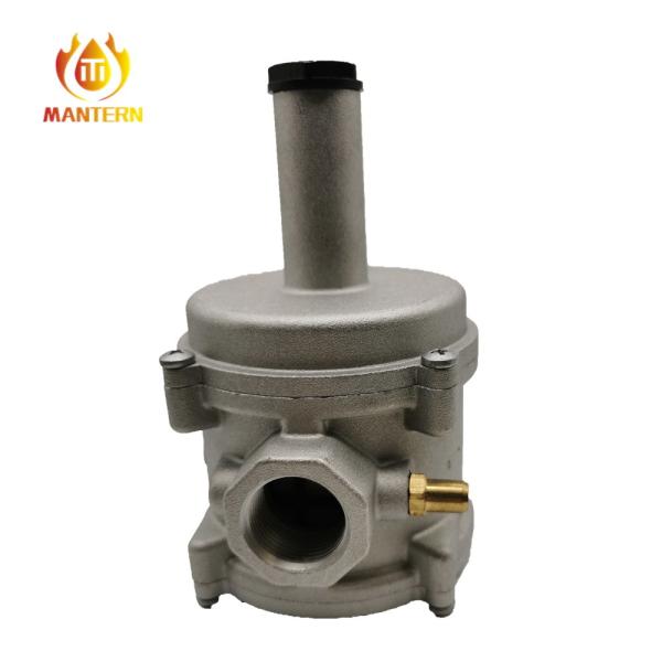 Home / Industry Natural Gas Adjustable Gas Regulator With Filter Gas Relief