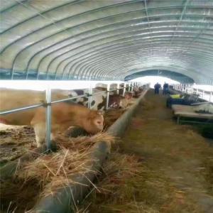 Wholesale Poly Tunnel Greenhouse Poultry Farm For Sheep Chicken from china suppliers