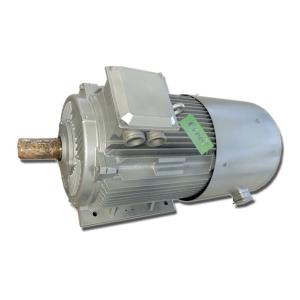 Wholesale Low RPM High Efficiency 220v 10kw Magnetic Generator SKF Bearing from china suppliers