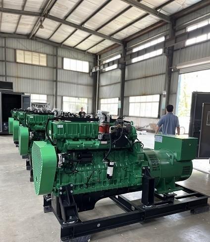 Industrial Backup Emergency 250KW 300KVA Natural Gas Powered Electric Generator