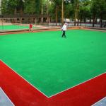 Gateball Tennis Court Artificial Grass For Sports Field Good Water Permeability