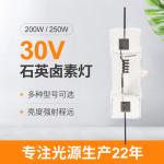 Tungsten Double Ended Halogen Lamp 200w 250W 30V