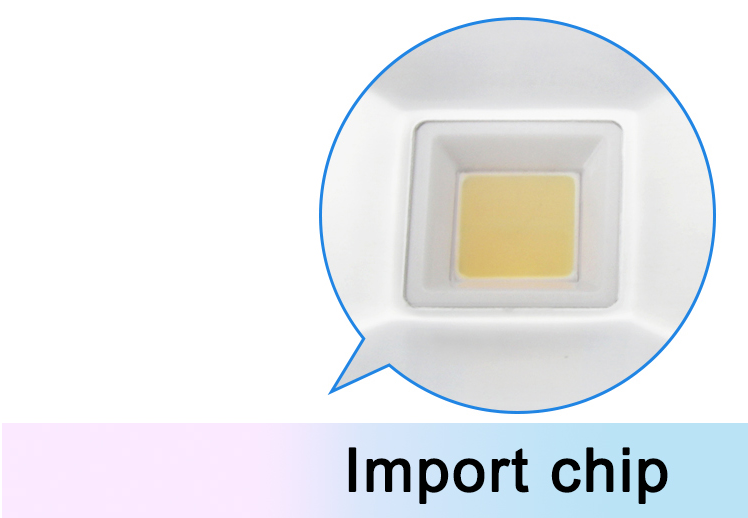High Lumen IP65 COB LED Flood Light with CE ROHS approval for Buildings
