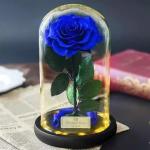 Long life Glass Cover Preserved Real Fresh Forever Rose in Glass