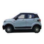 CE approved adult electric car 4 doors 4 seats mini car cheap price with 3 kw