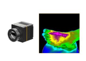 Wholesale Fast Integration Thermal Imaging Camera Module 384x288 17μM For Health Care from china suppliers
