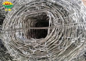 Wholesale Fencing Galvanised Steel Barbed Wire Security Sharp Anti Corrosion from china suppliers