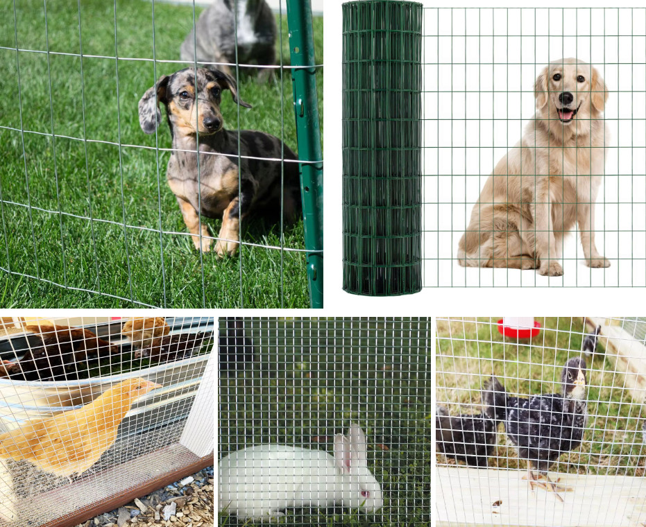 5/8'' Mesh Size Electric Galvanized Welded Wire Mesh with Galvanized Before Welding