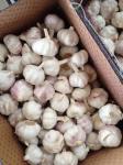 2018 China fresh garlic export to Brazil