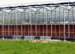 Steel Vegetables Hydroponic Multi Span Glass Greenhouse