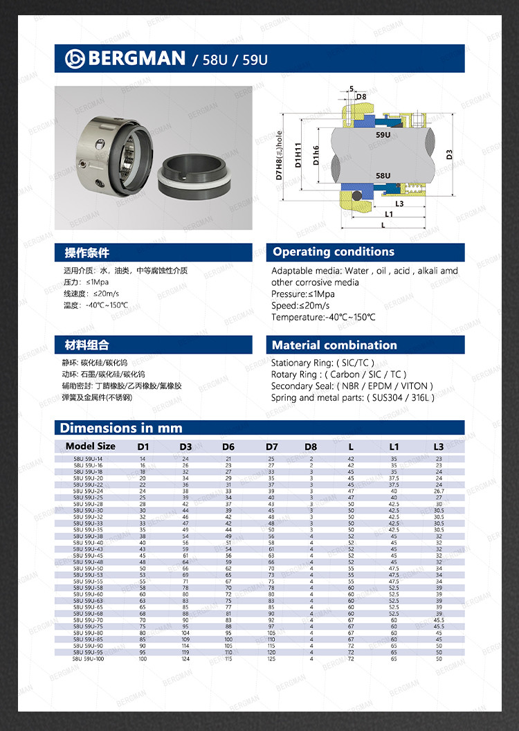 BERGMAN 58U 59U 14mm-100mm G60 G4 G6 G9 G13 G16 BS Bo BP Pump Mechanical Seal