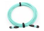 12 Fiber Optic Patch Cord Aqua Color MPO - MPO LSZH SM / MM For Broadband