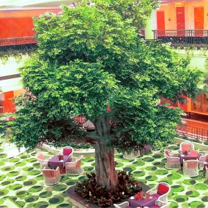 Wholesale Fiber Glass Trunk Artificial Landscape Trees Anti Fading For Patio from china suppliers