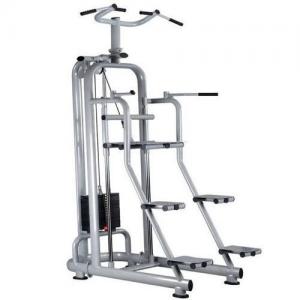 Wholesale Dip & Hip Assist Machine from china suppliers