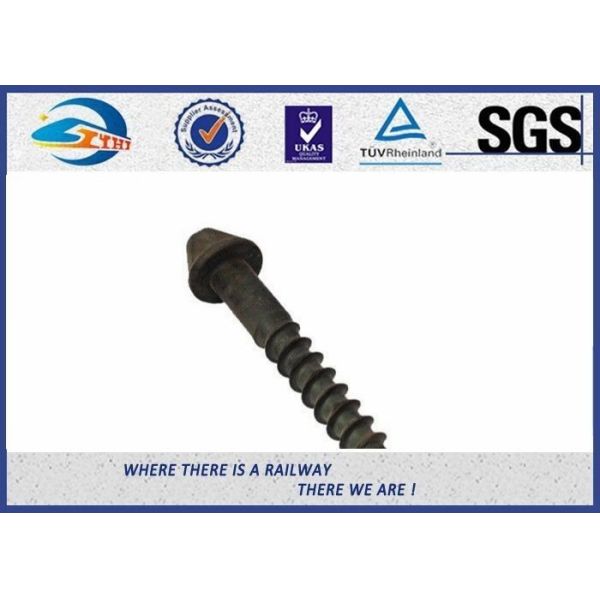 High Tensile Railway Coach Screws HDG Plain Oiled Surface Material Q235 Grade 4.6