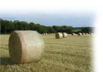 Hdpe Raschel Knitted Round Bale Net Wrap , Agriculture Hay Bale Net