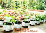 Effective UV Stabilized Black White Plastic Growing Bag / Polyethylene Jumbo