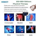 Laser Therapy Device Class Iv Laser Physical Therapy 810 980 1064nm Laser