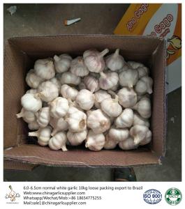 Wholesale China fresh garlic export to Brazil by Pioneer garlic group. 6.0 cm normal white garlic. from china suppliers