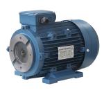 Y2SH100L-4 Three Phase Induction Motor 2.2kw 3hp