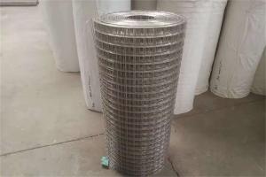 Wholesale 1/2 Inch X1/2 Inch 0.6mm Stainless Steel Welded Wire Mesh from china suppliers