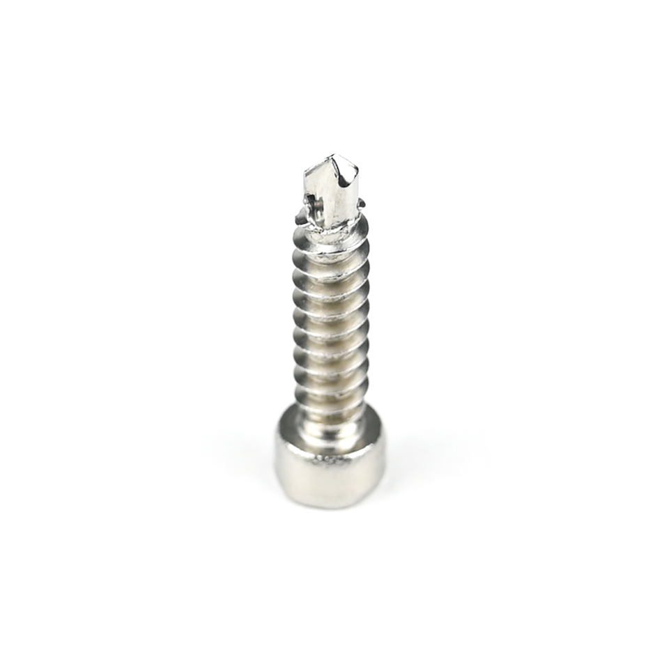304 Stainless Steel Round Fillister Head Screw M6 Torx Screw with Customized Support