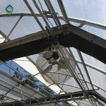 Curtain Movable Automated Blackout Greenhouse For Medical Plant