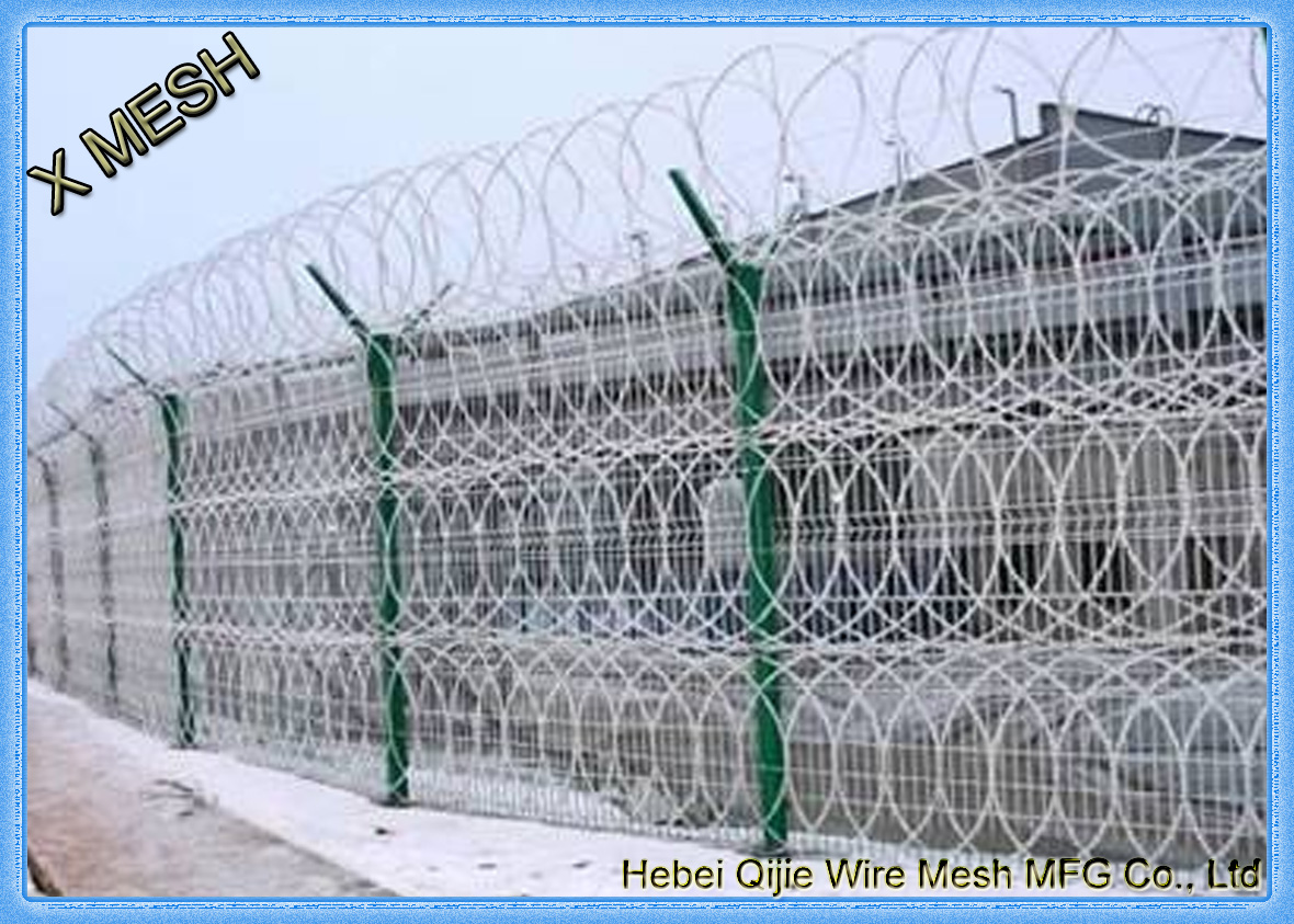 Ripper Razor Mesh-004