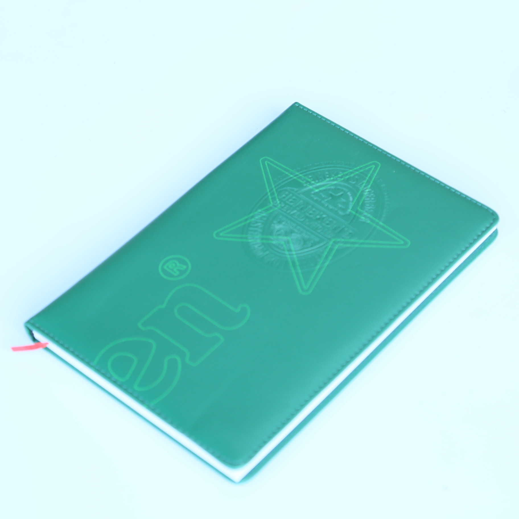 Sponge Leather Custom Journal Notebook 320 Pages For Doodling / Song Writing / Notes