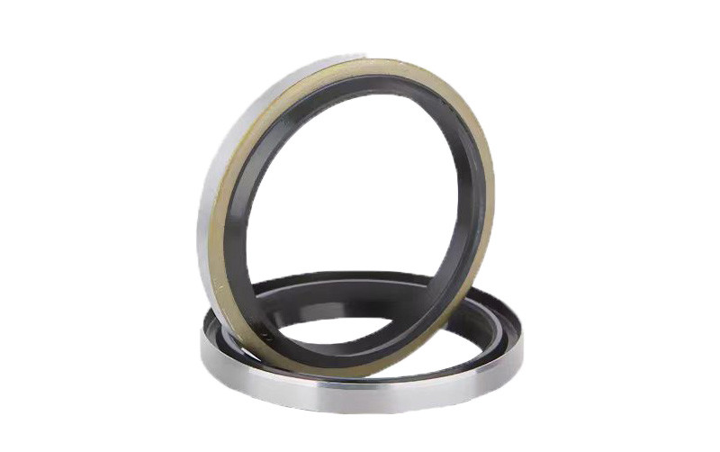DKB Industrial Skeleton Oil Seal Ring FKM Oil Seals Wear Resistant