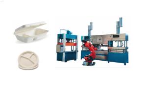 Wholesale Biodegradable Pulp Molded Coffee Cup Production Line from china suppliers