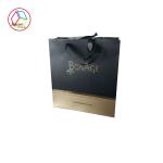 Colorful Printed Paper Bags / Imprinted Shopping Bags With Silk Handle