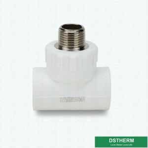 Wholesale White Ppr Plumbing Fittings For Cold And Warm Water Installations from china suppliers
